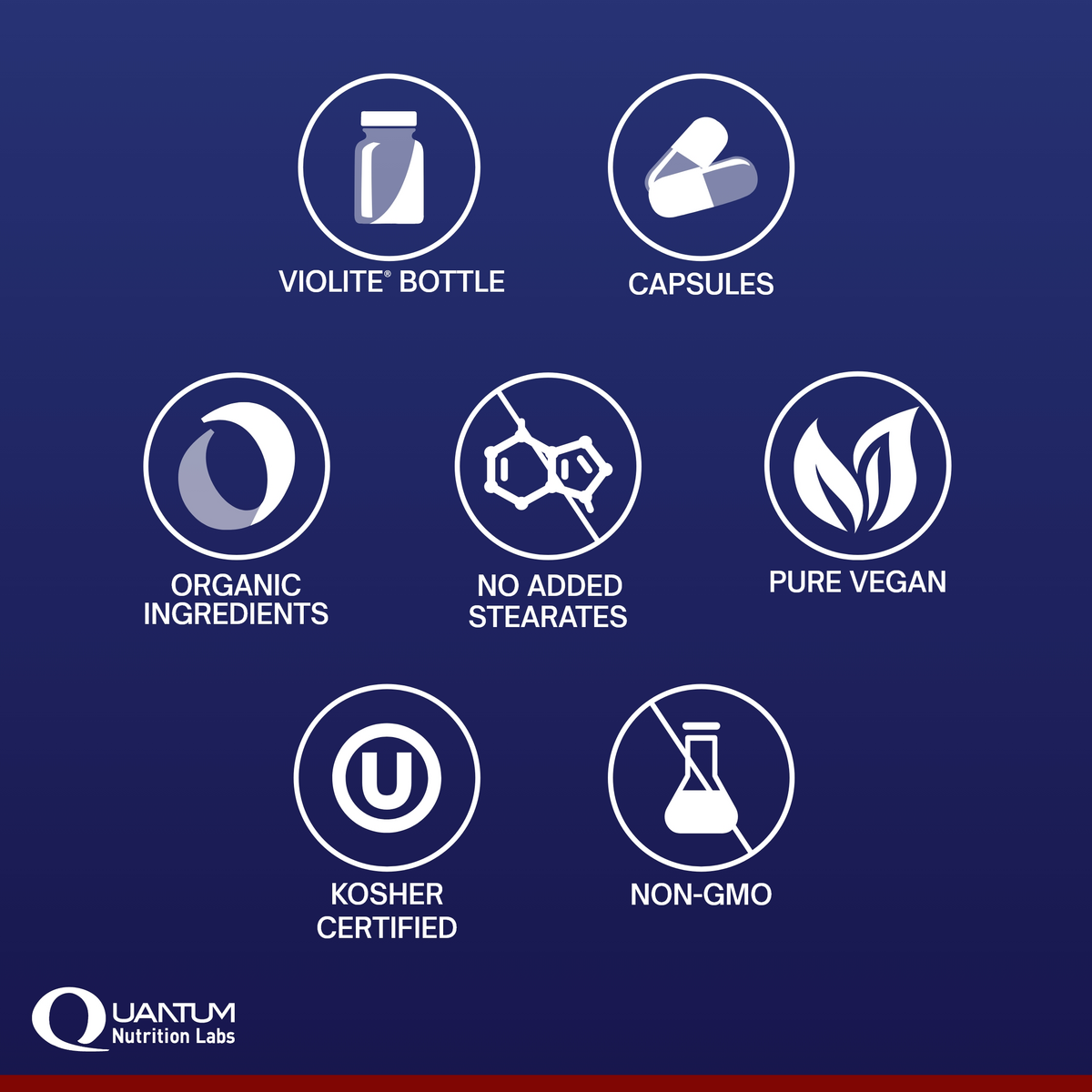 Blood Pressure Support, Quantum