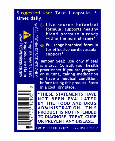 Blood Pressure Support, Quantum