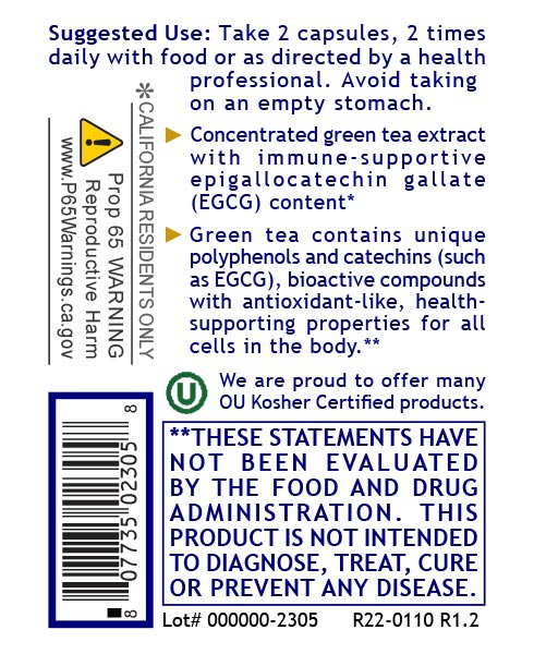 Green Tea Extract, Premier