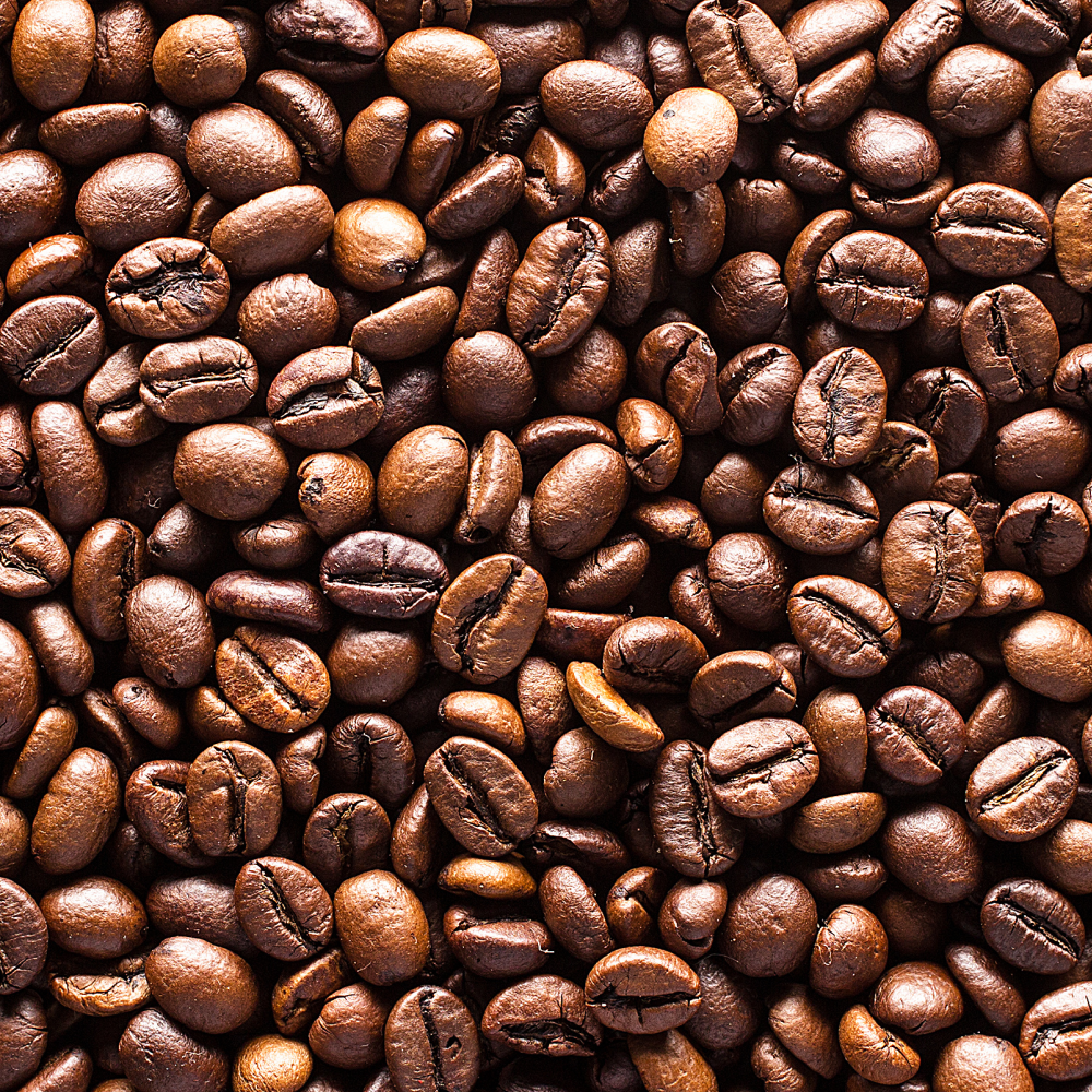 Organic Coffee Sidama, Premier