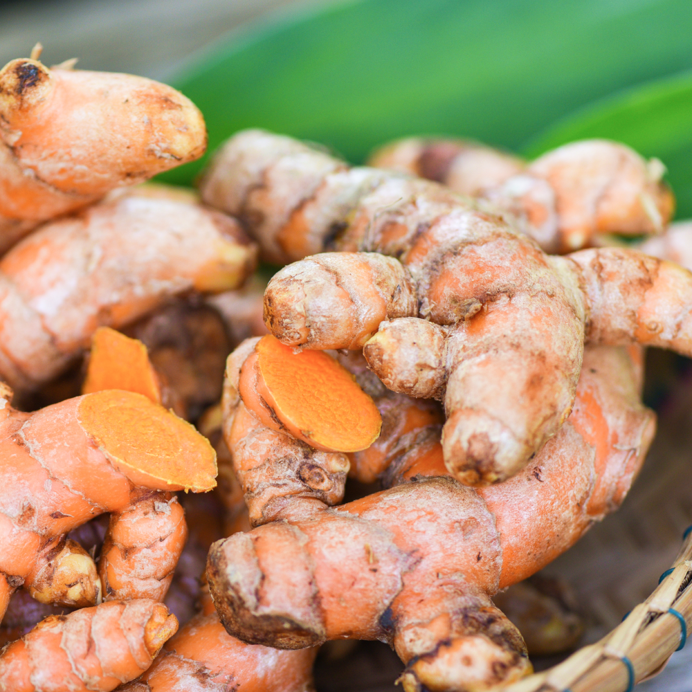 Turmeric, Premier