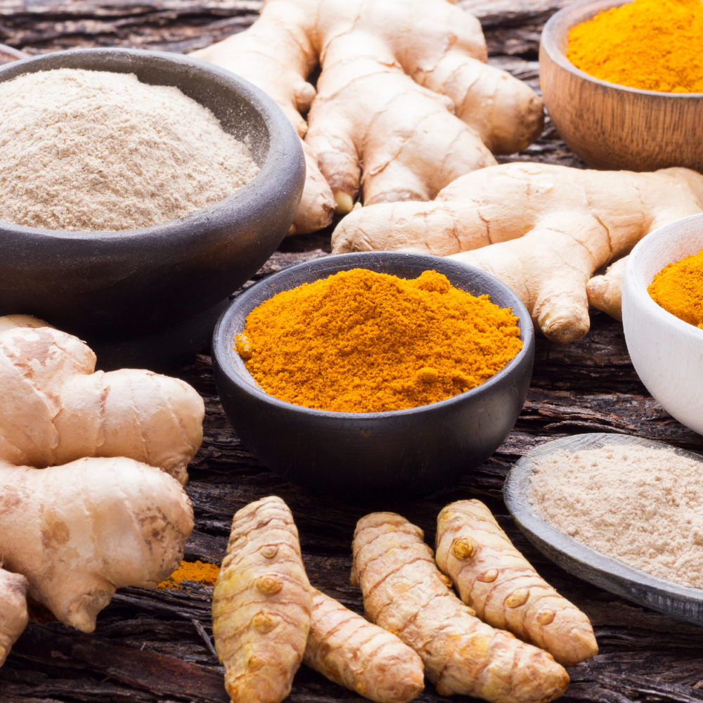 Fermented Turmeric/Ginger, Premier