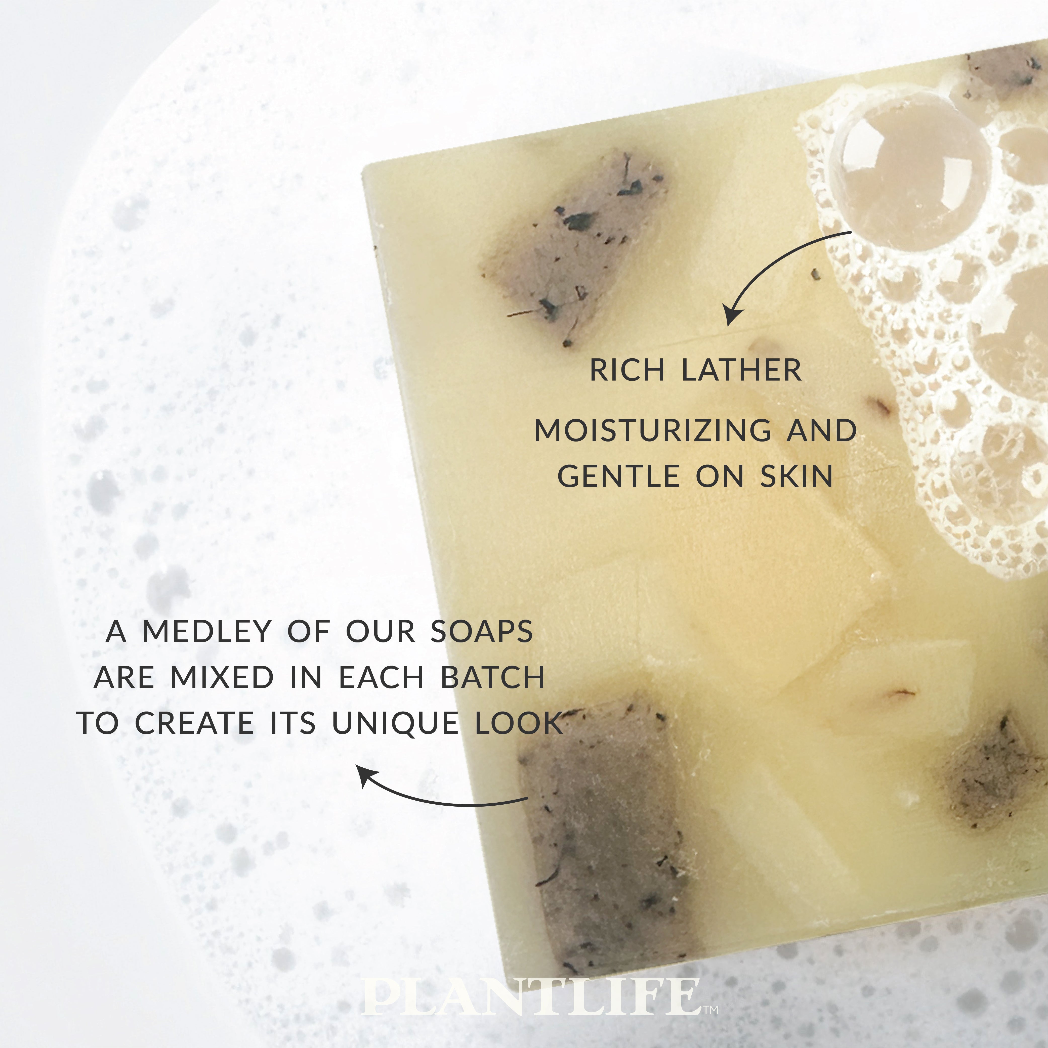 Ambrosia Bar Soap