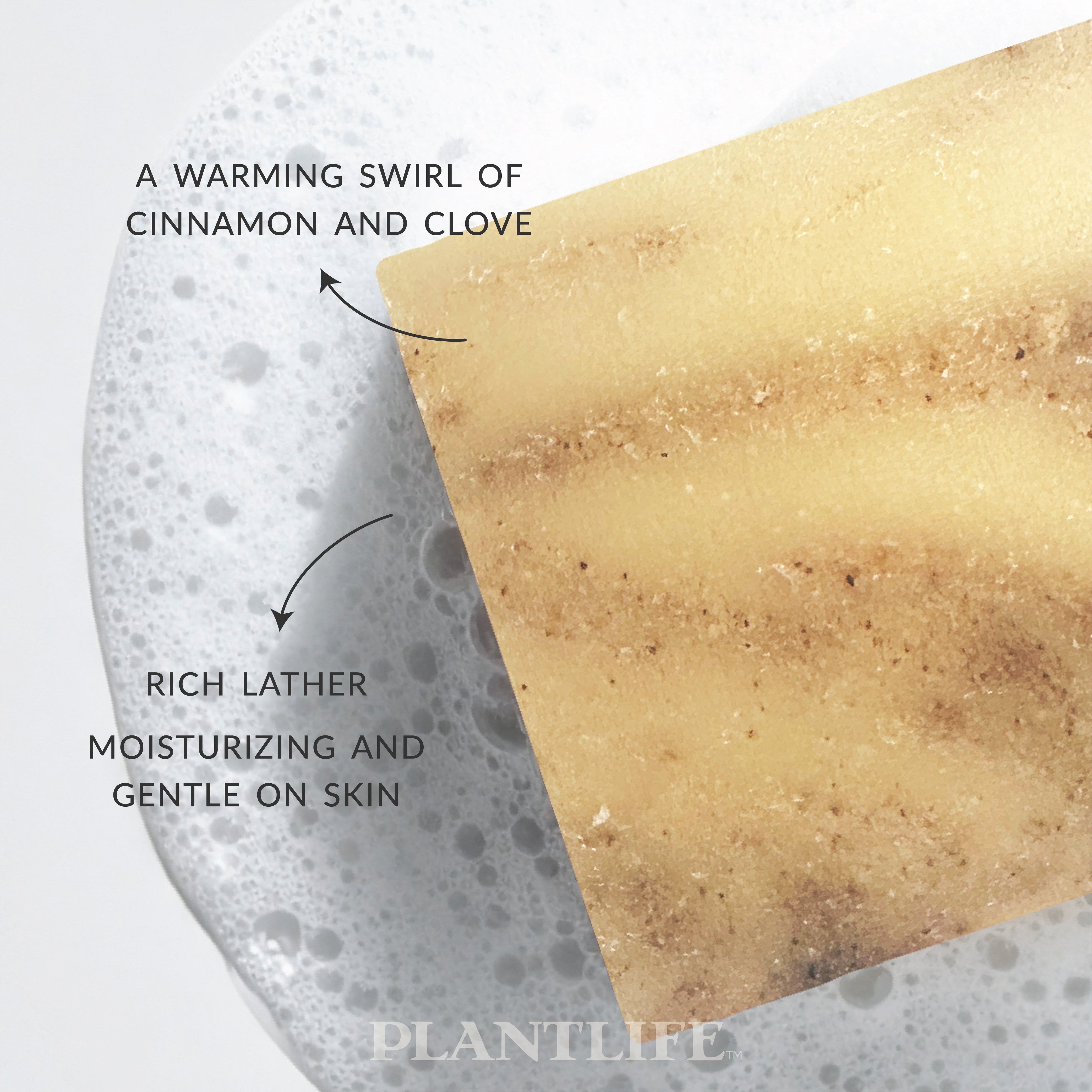 Cassia Clove Bar Soap