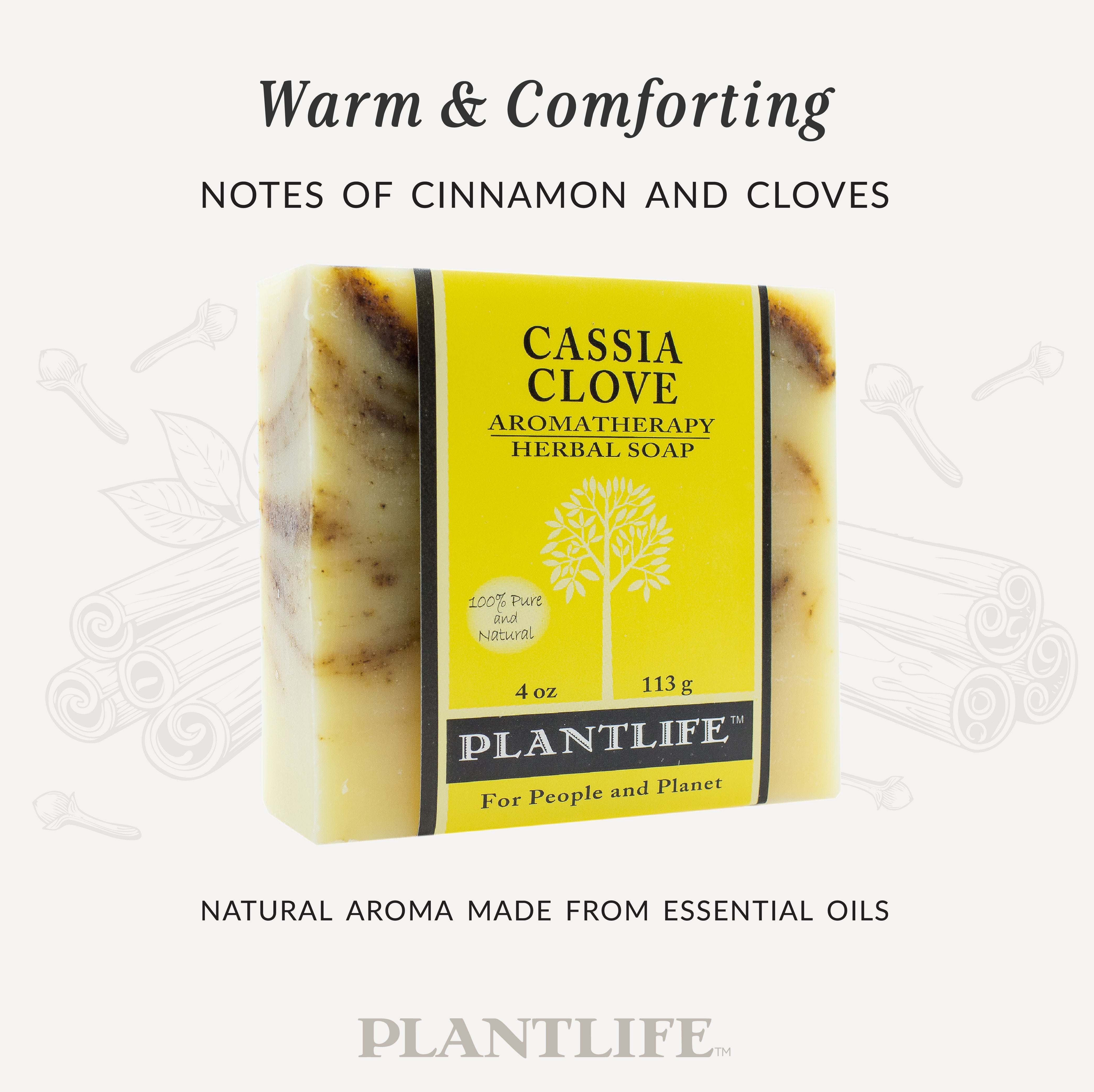 Cassia Clove Bar Soap