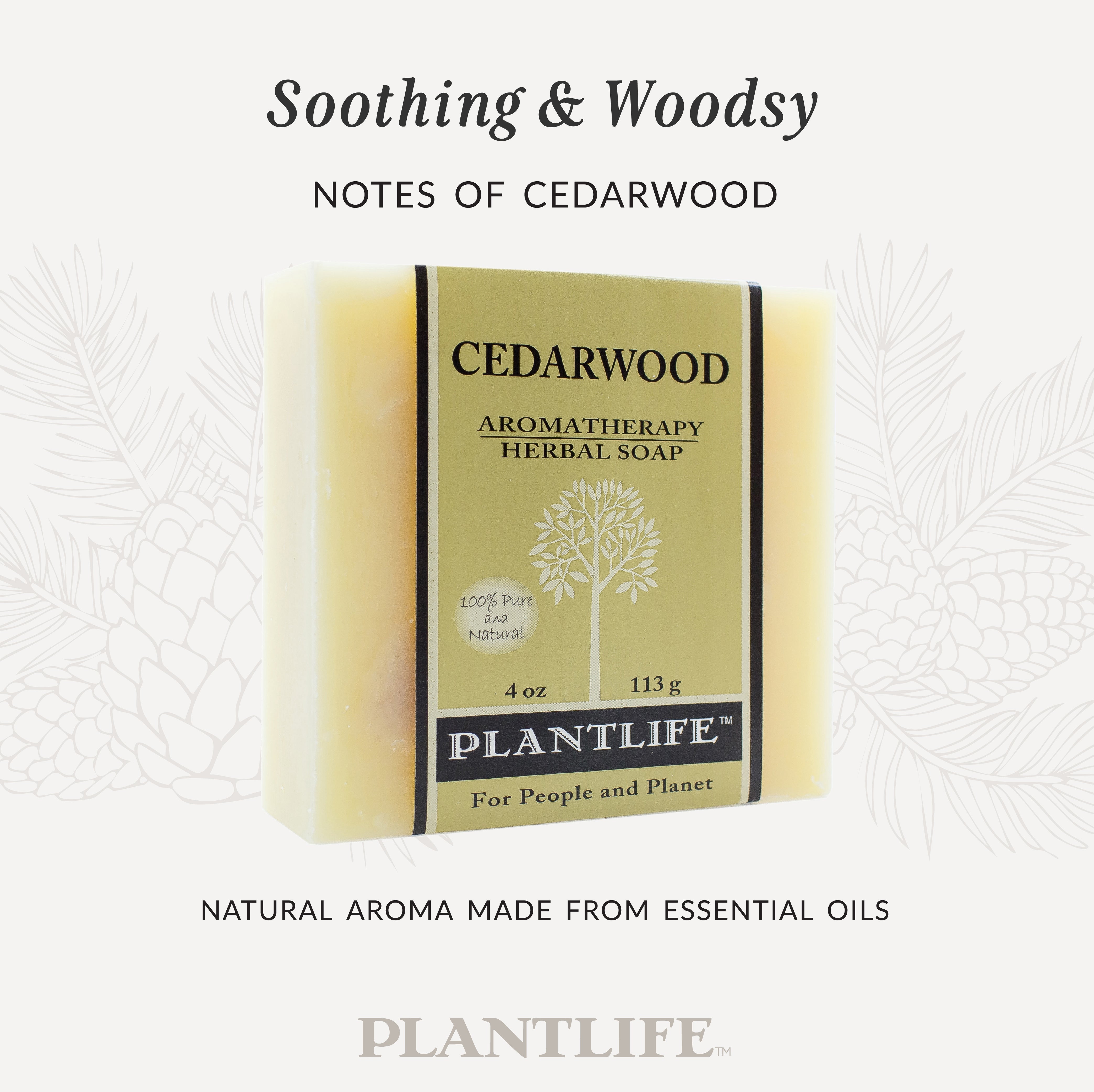 Cedarwood Bar Soap