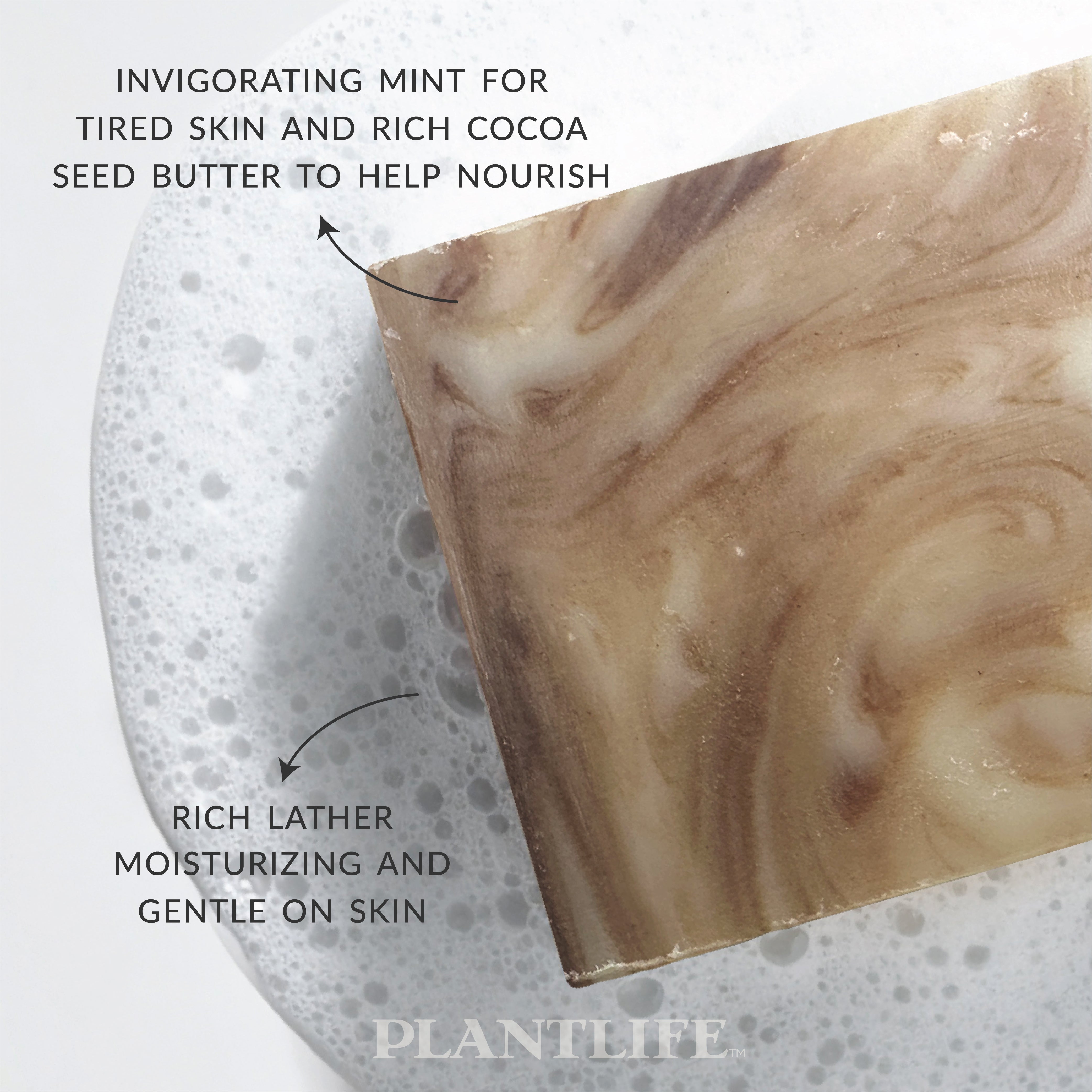 Cocoa Mint Bar Soap