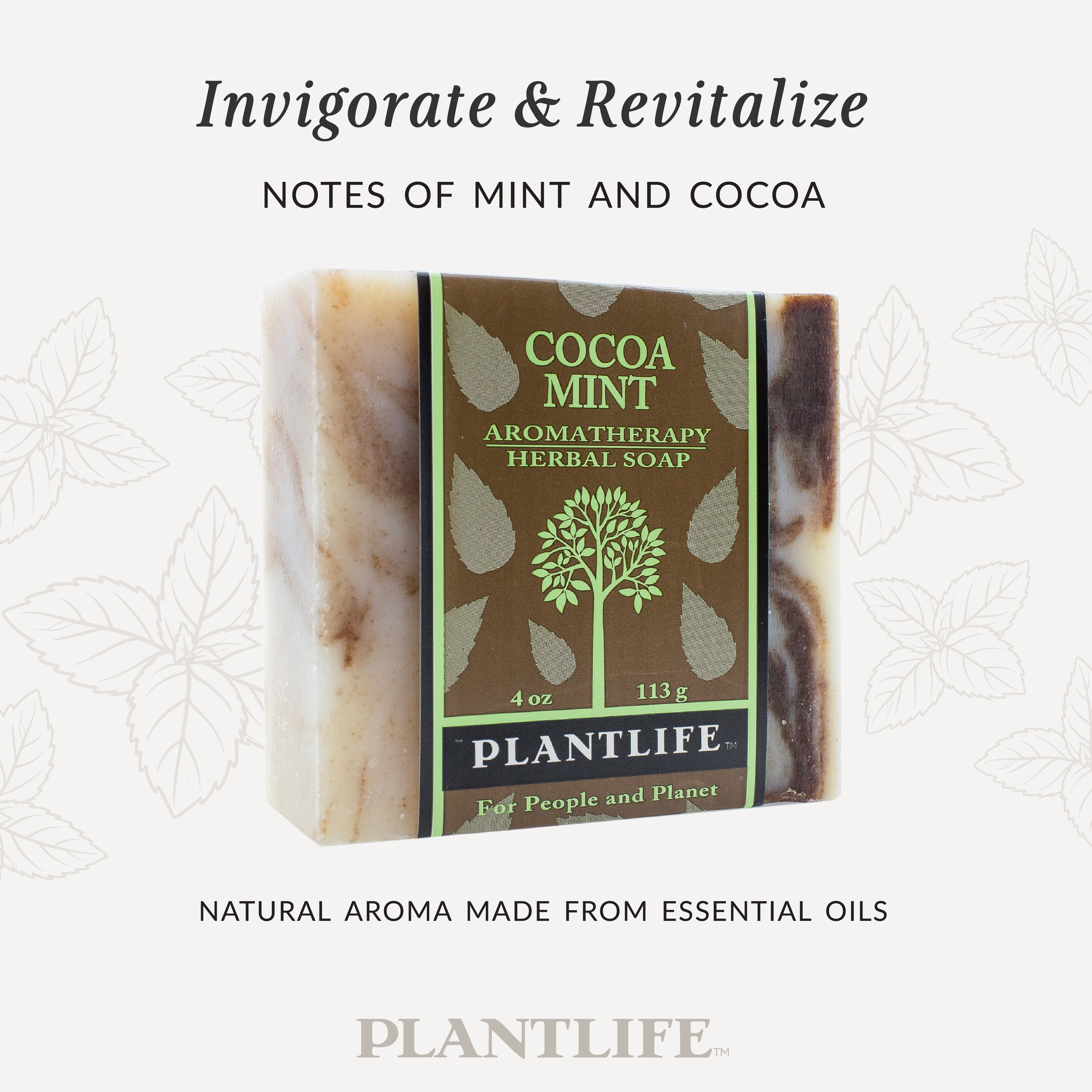 Cocoa Mint Bar Soap