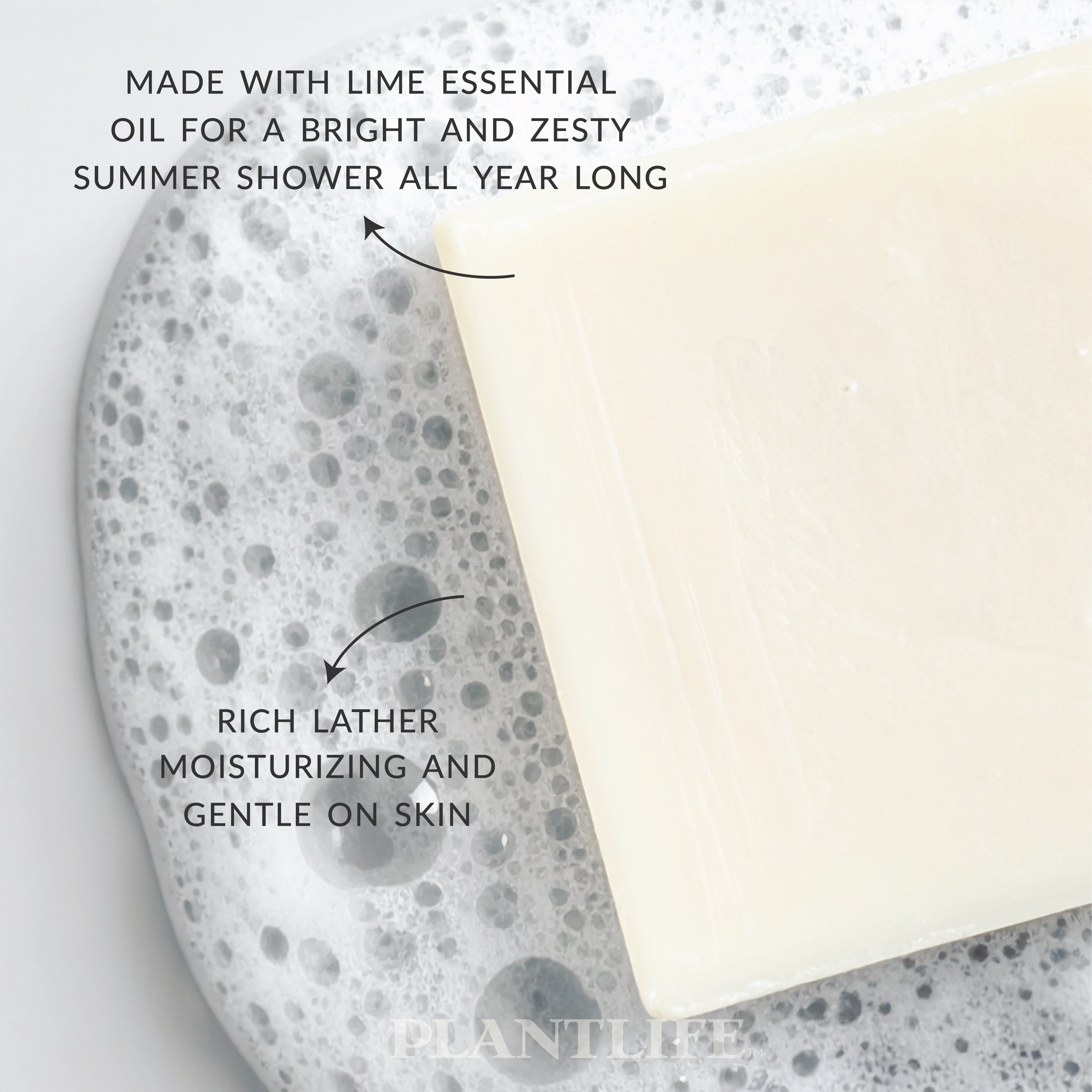 Coconut Lime Bar Soap
