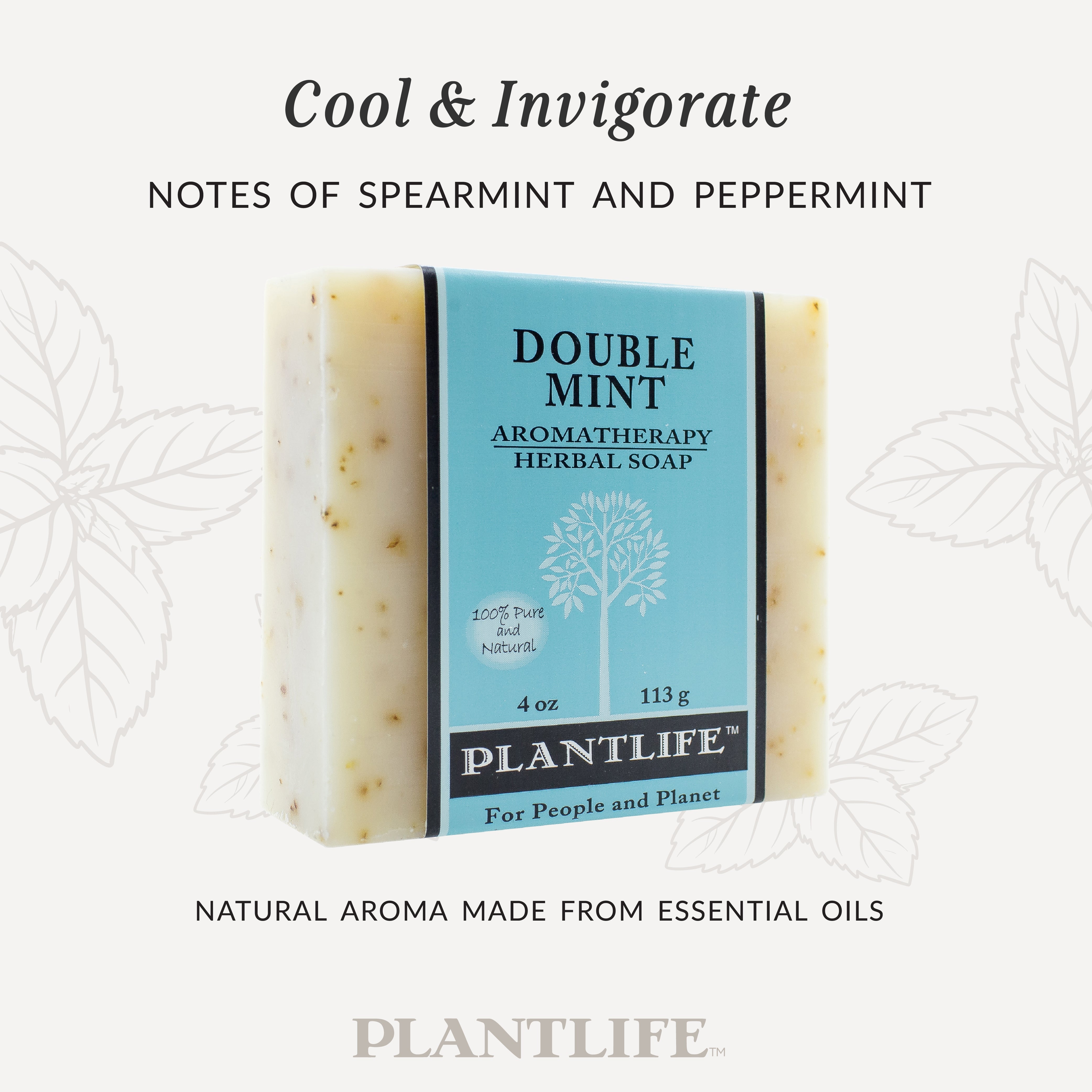 Double Mint Bar Soap
