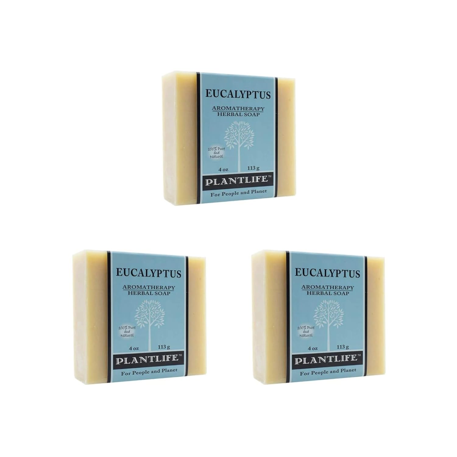 Eucalyptus Bar Soap