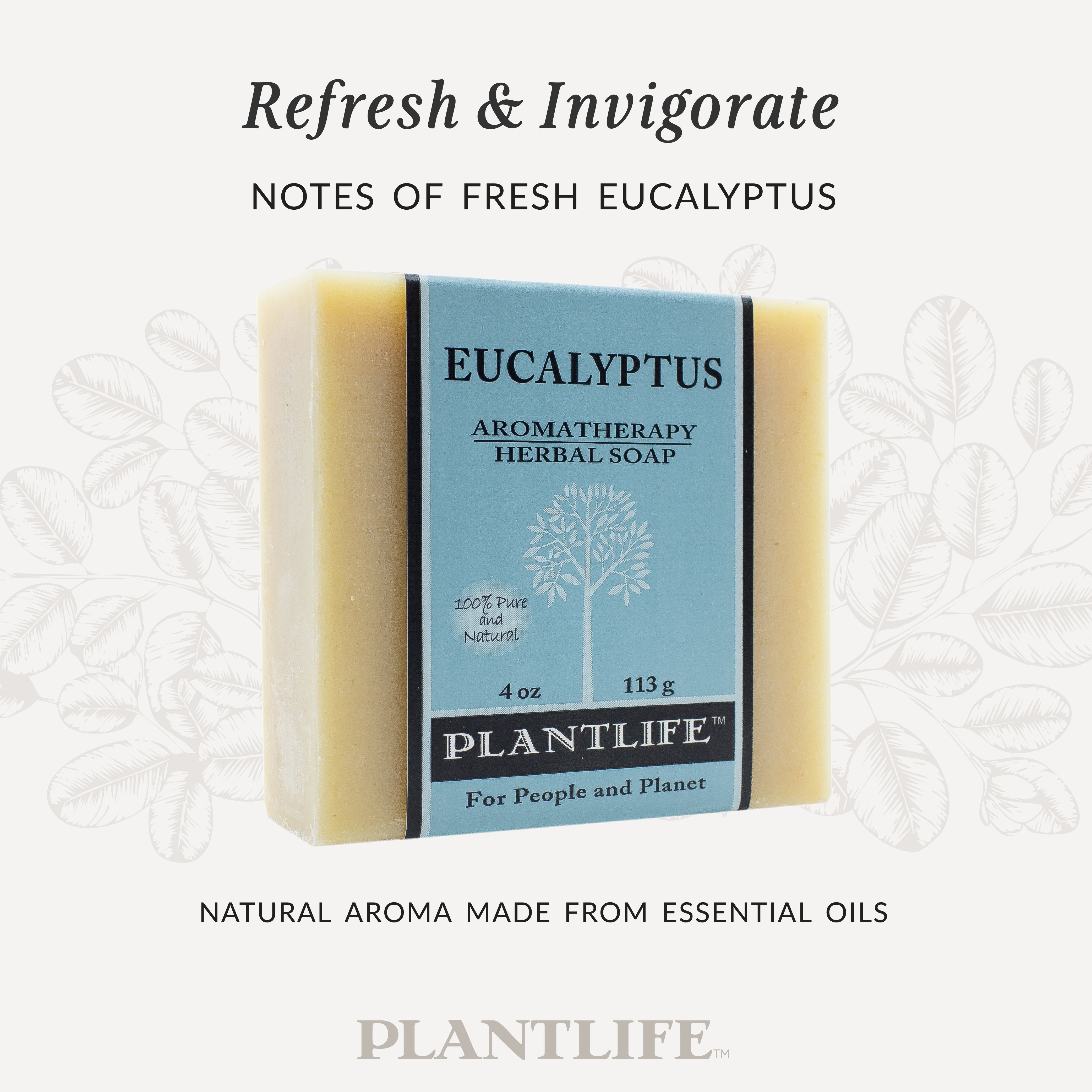 Eucalyptus Bar Soap