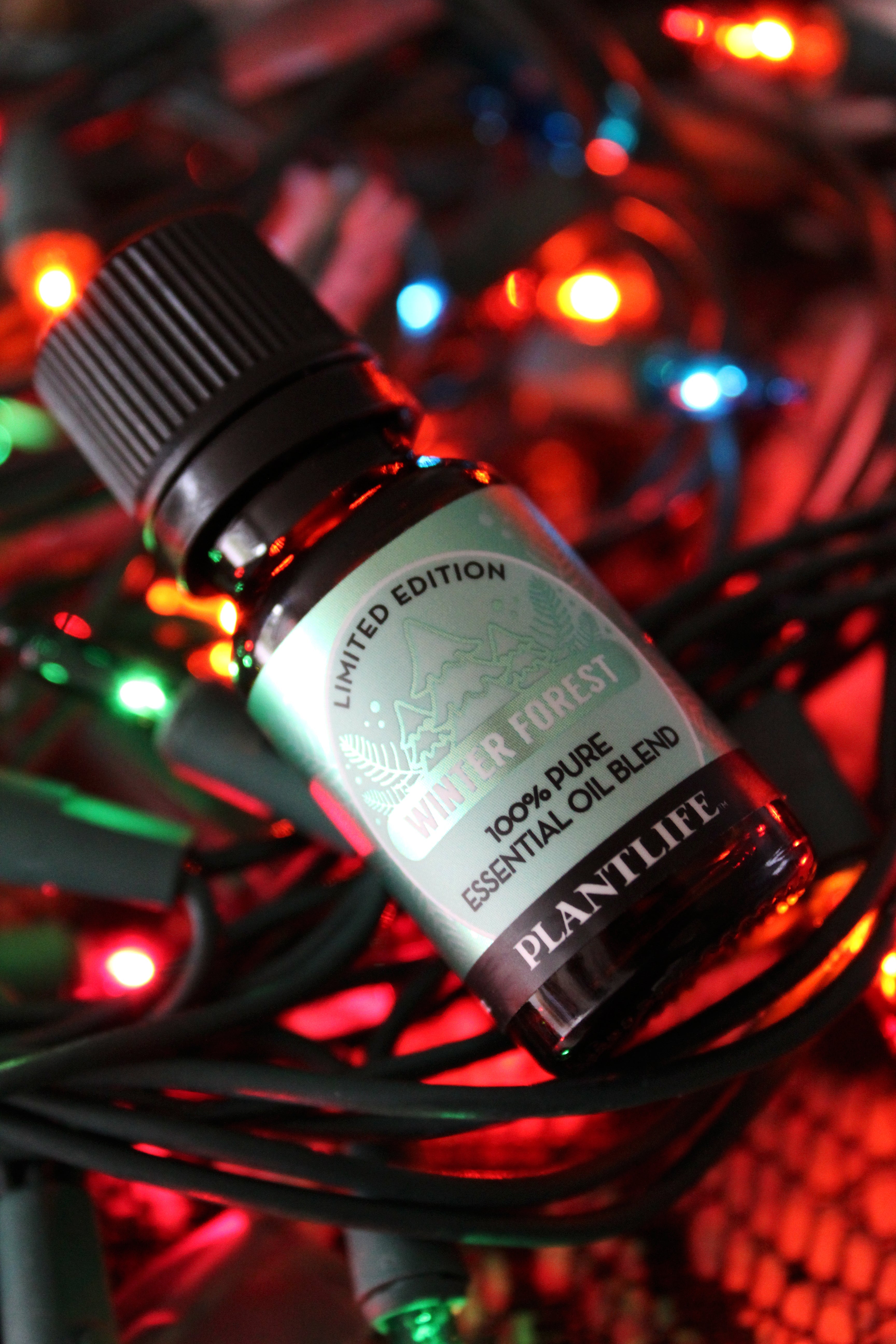 Winter Forest Essential Oil Blend