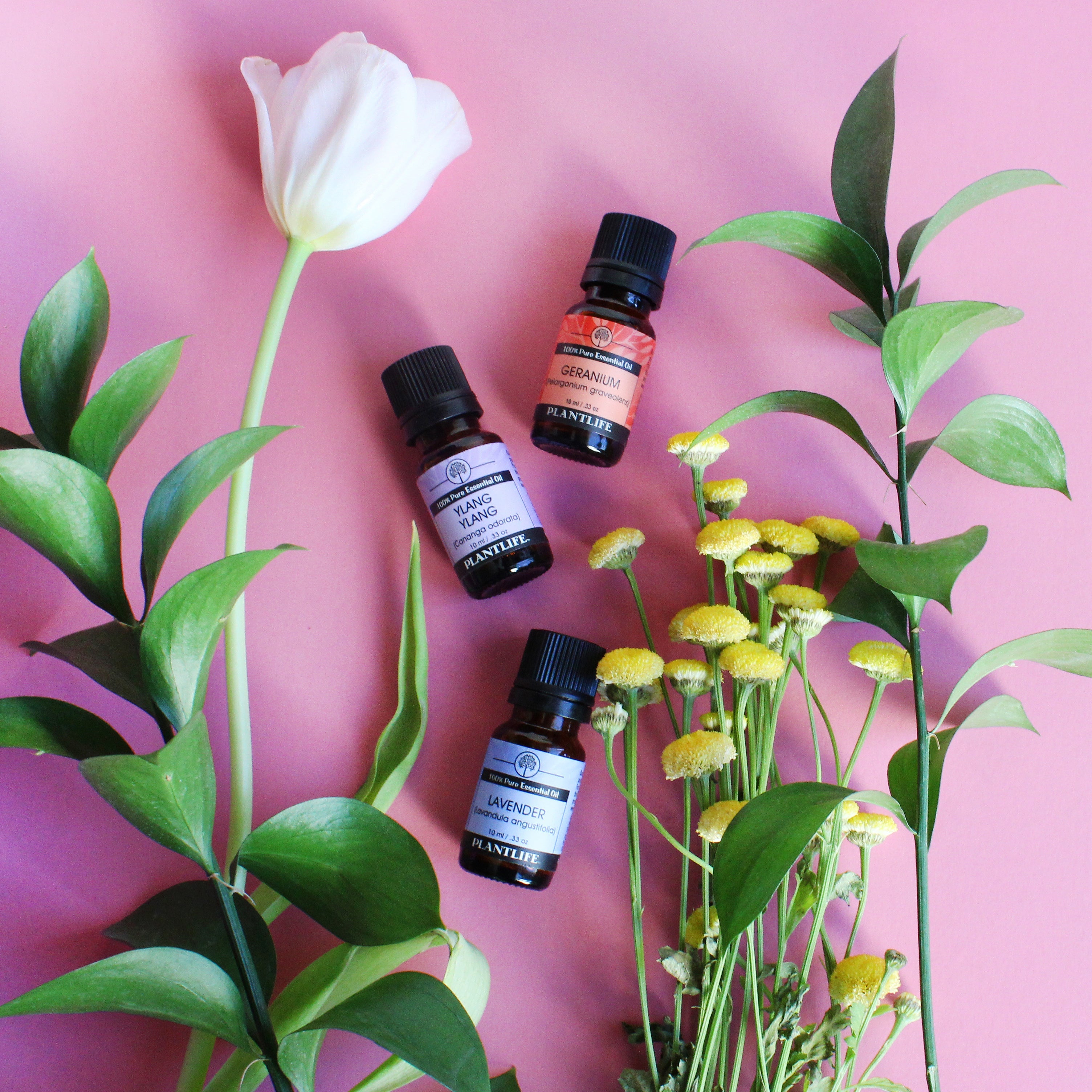 Ylang Ylang Essential Oil