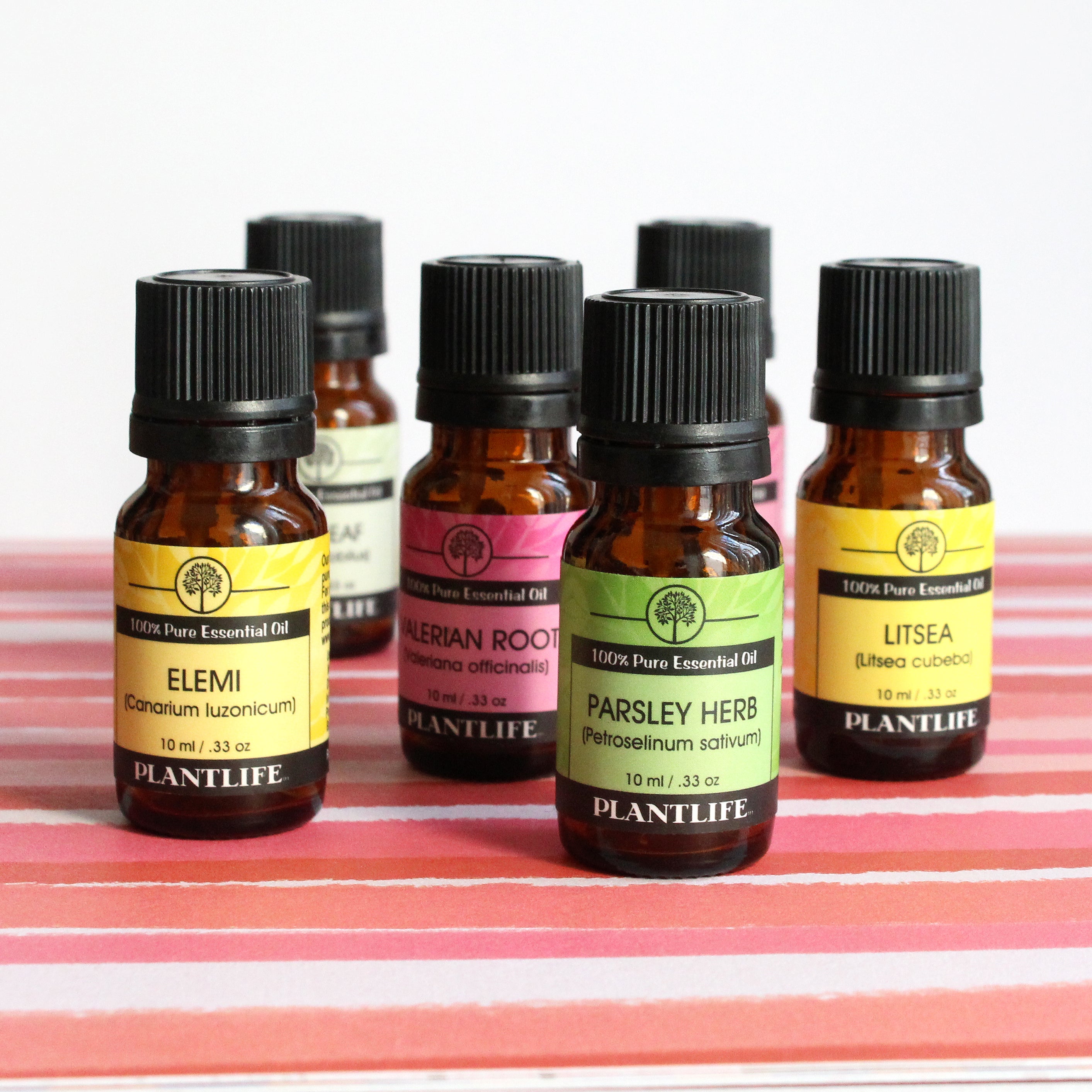 Dill Essential Oil