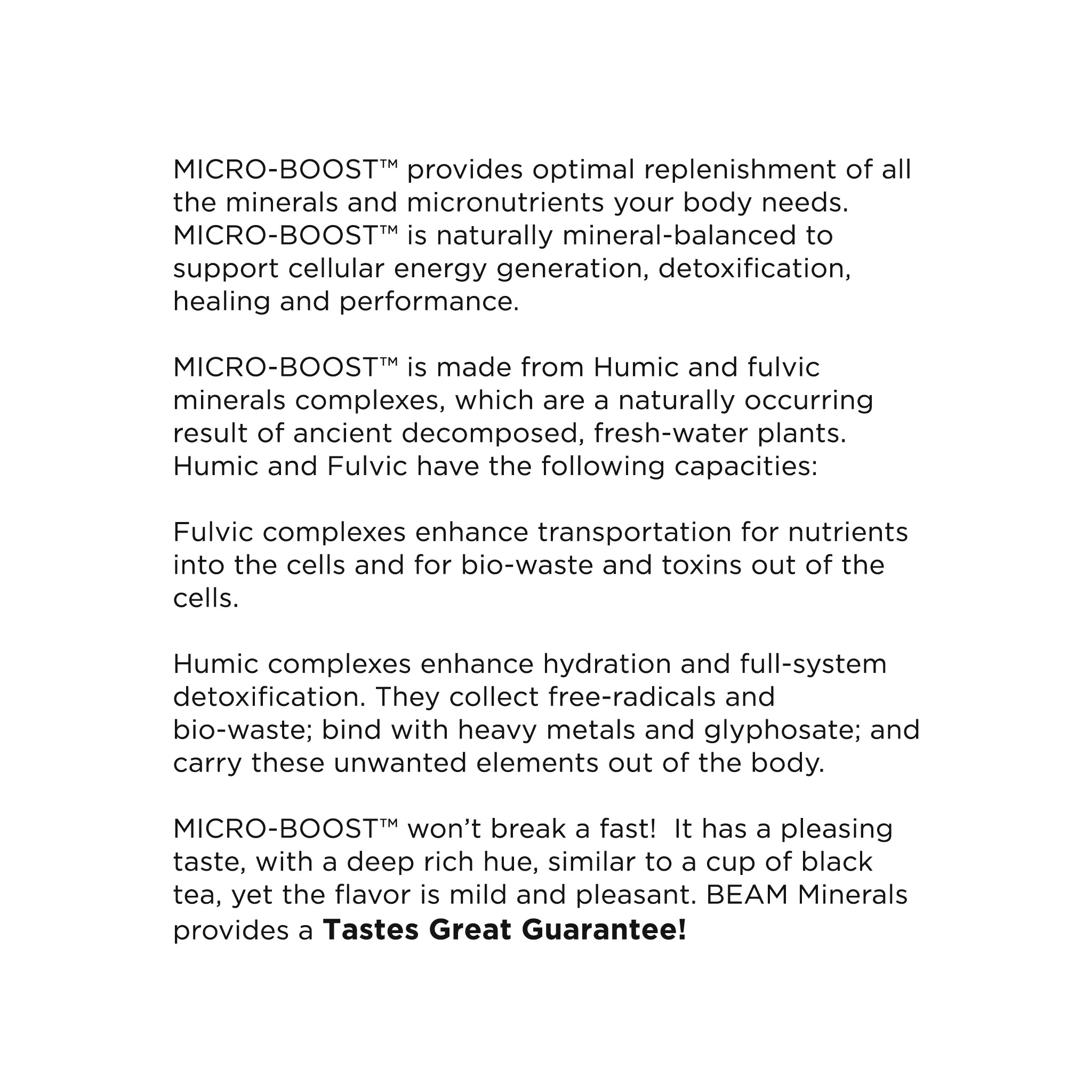 Beam Micro Boost – Electrolyte & Micronutrient Formula for Hydration and Energy