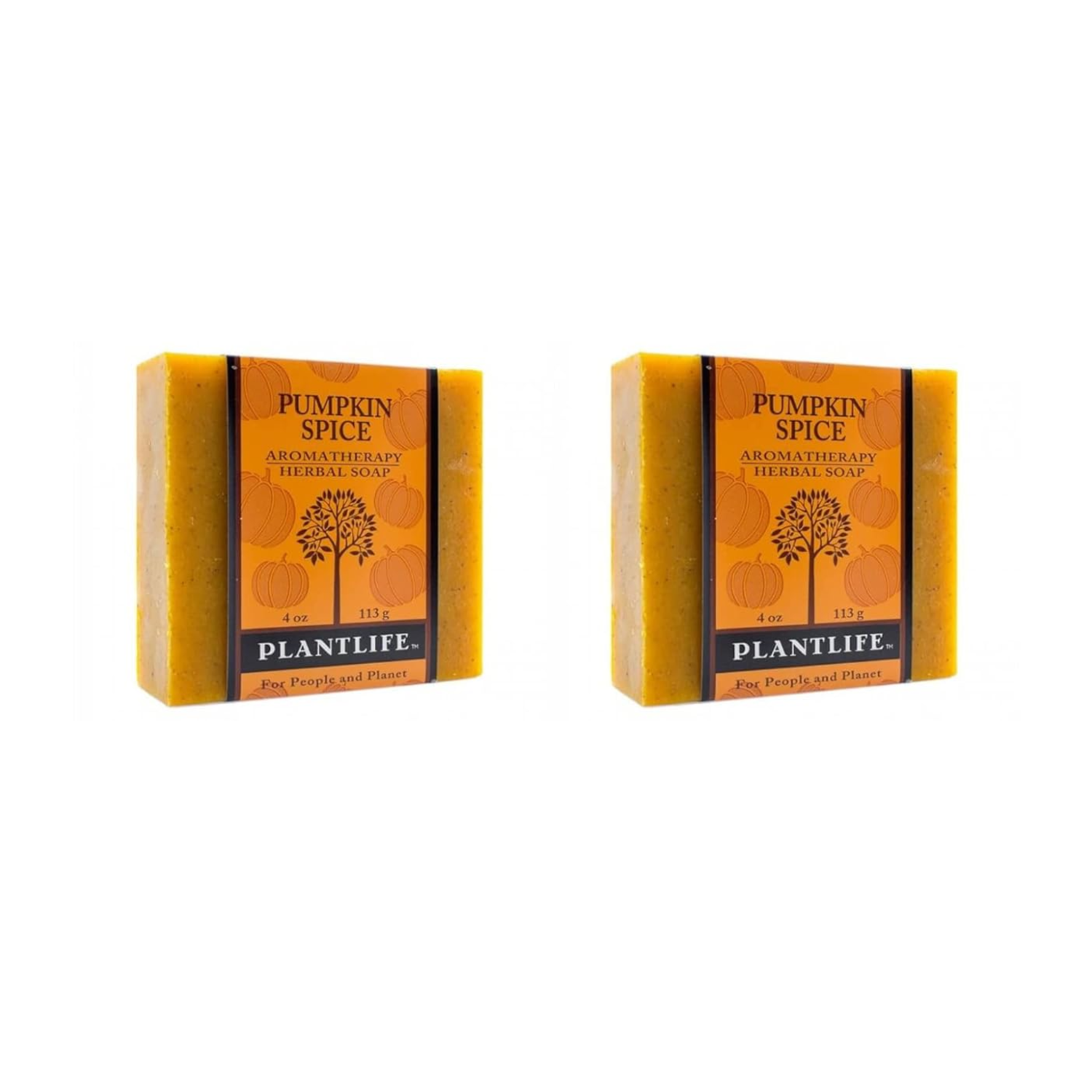 Pumpkin Spice Bar Soap