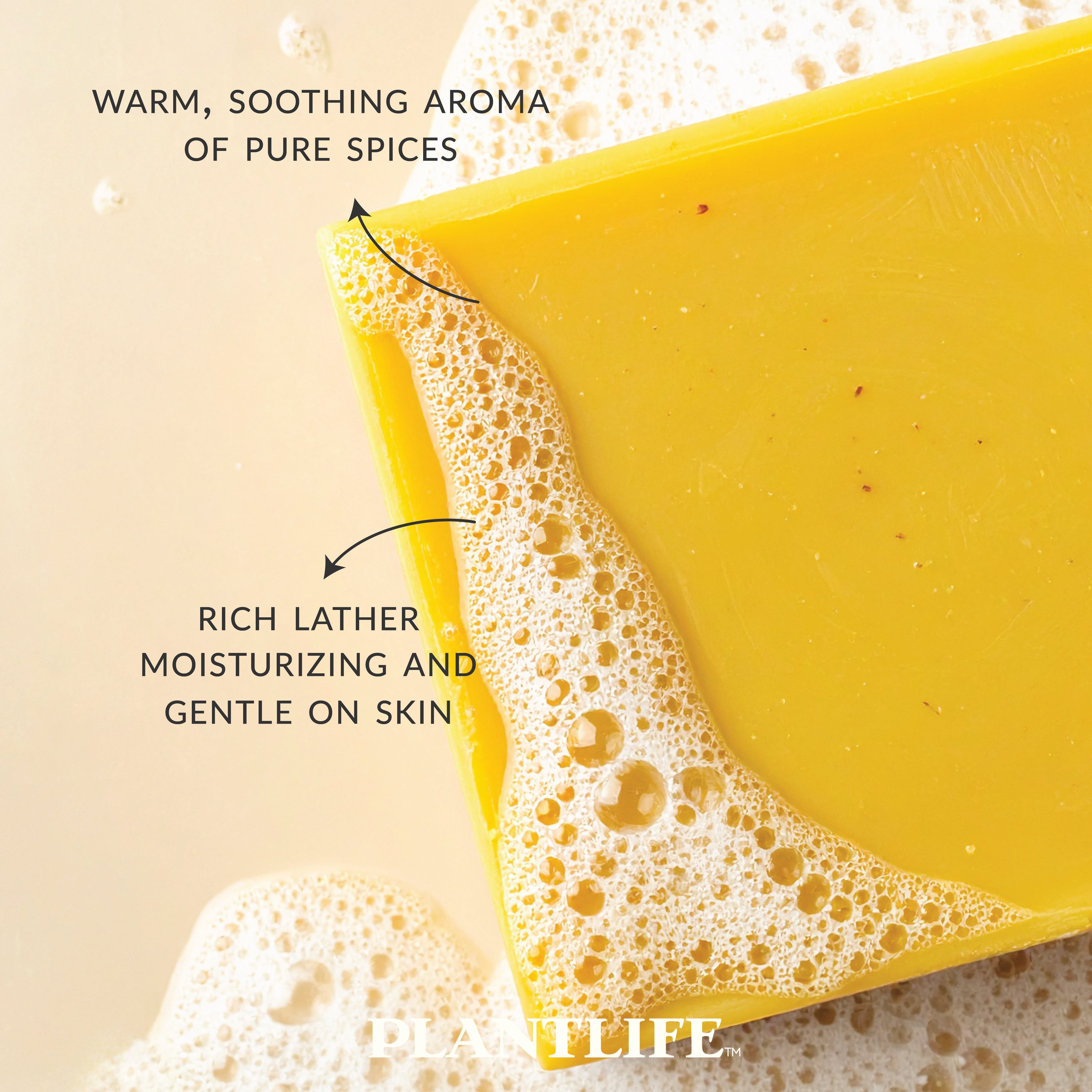 Pumpkin Spice Bar Soap