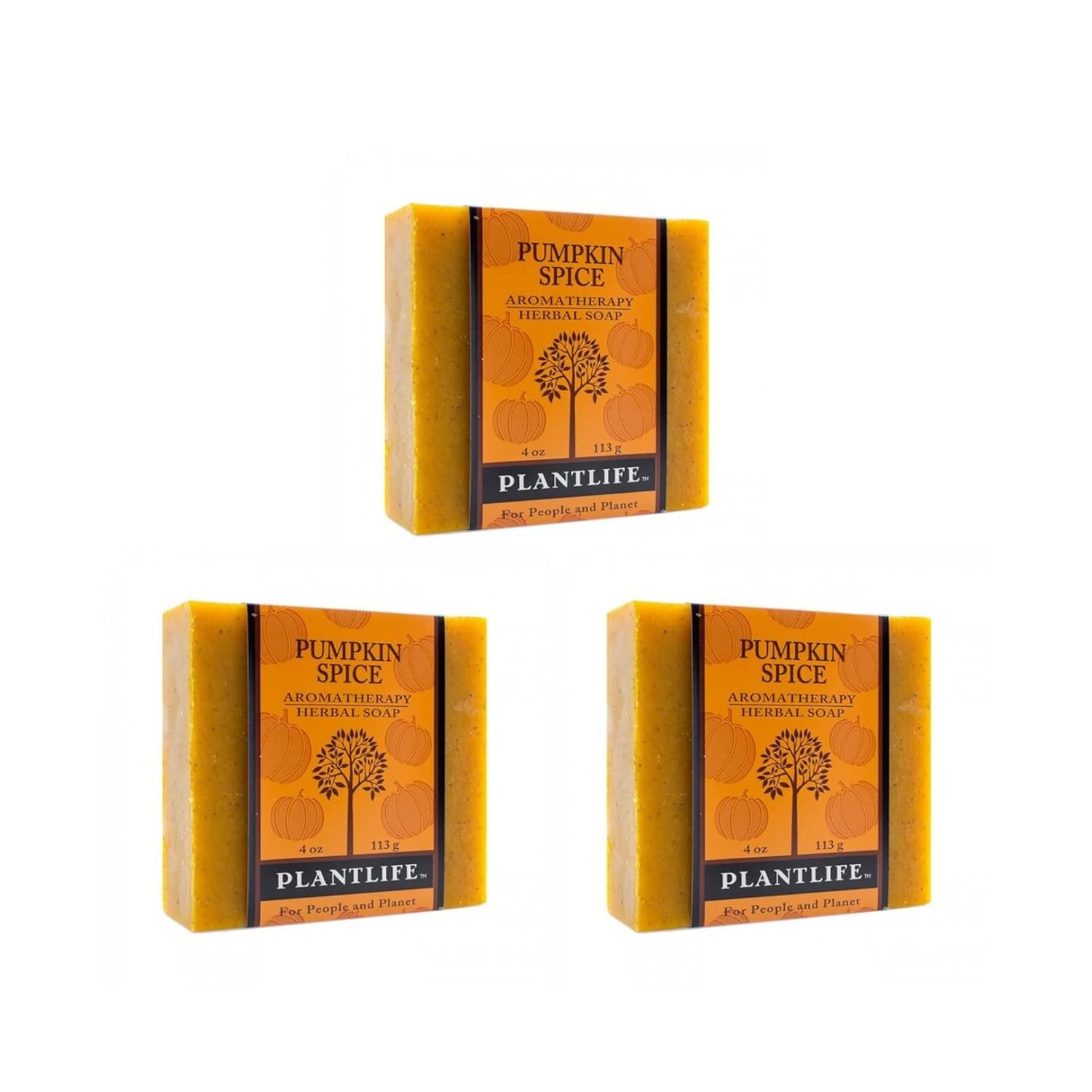 Pumpkin Spice Bar Soap