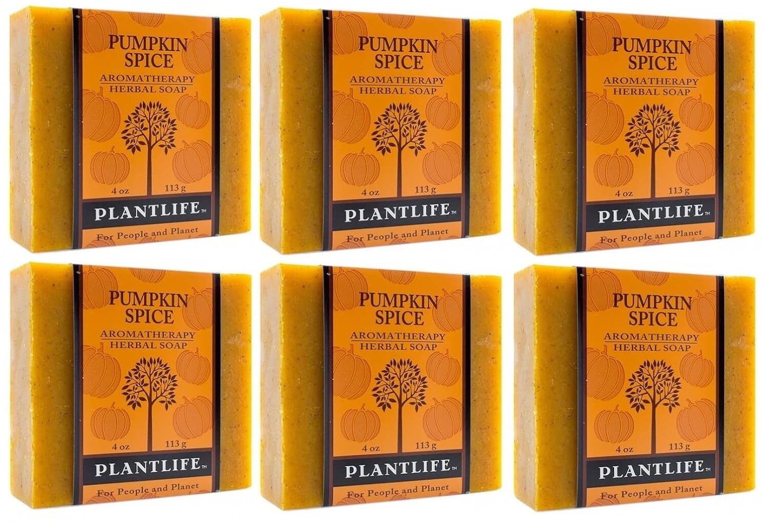 Pumpkin Spice Bar Soap