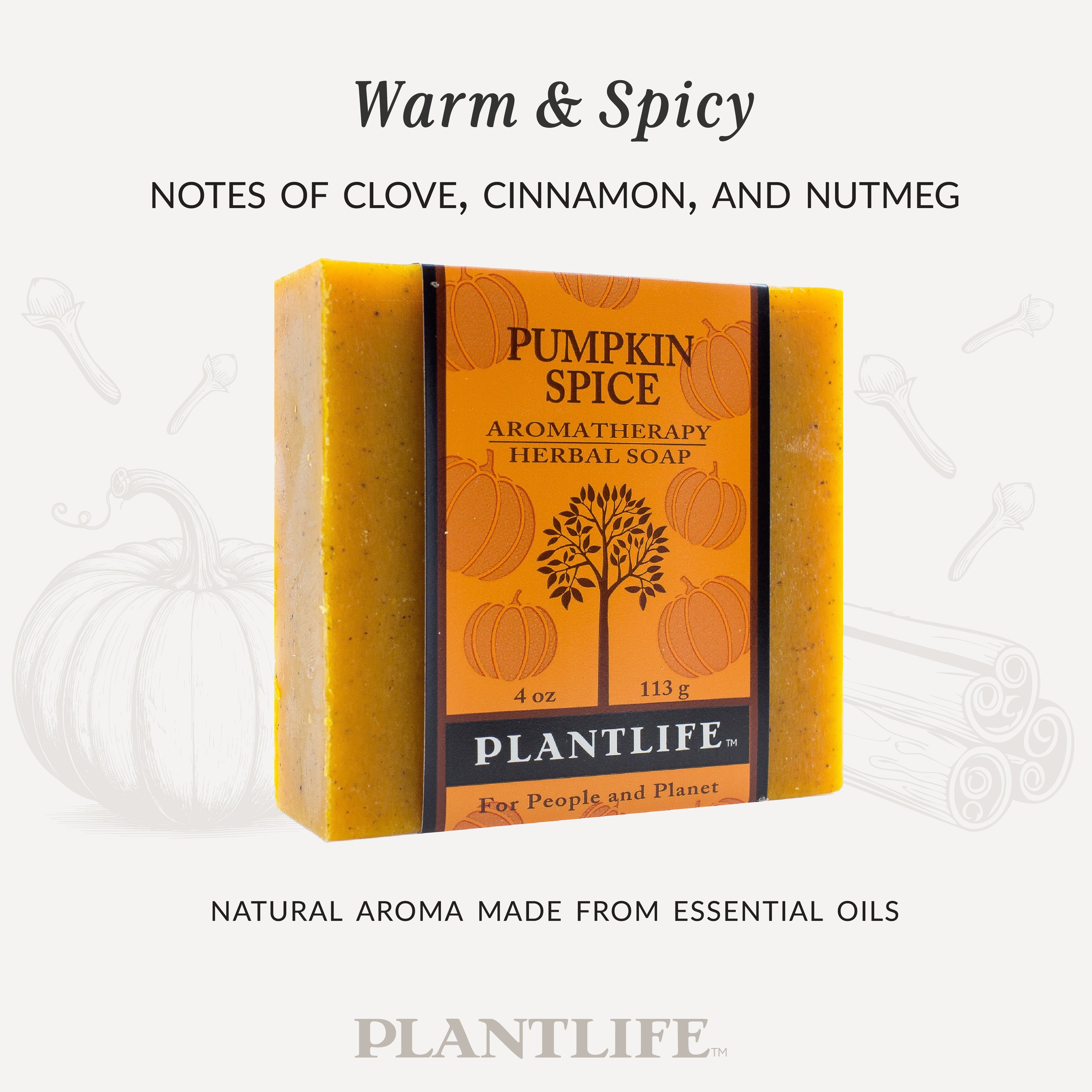 Pumpkin Spice Bar Soap